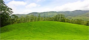 Shooting Point(Munnar)